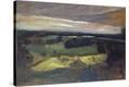 Stretched Canvas Print