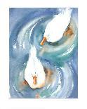 Ducks in a Pond-Paula Patterson-Framed Art Print