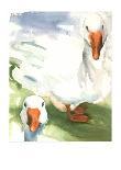 Geese-Paula W^ Patterson-Framed Art Print