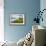 Pauley Island I-Alan Hausenflock-Framed Photographic Print displayed on a wall