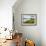 Pauley Island I-Alan Hausenflock-Framed Photographic Print displayed on a wall