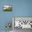 Pauley Island I-Alan Hausenflock-Framed Premier Image Canvas displayed on a wall