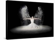 Young Ballerina-Pauline Pentony Ba-Framed Premier Image Canvas