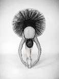 Ballet Technique-Pauline Pentony MA-Framed Photographic Print