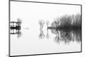 Photographic Print