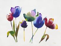 Rainbow Tulips 2-Paulo Romero-Art Print