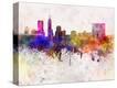 Stretched Canvas Print