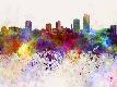 Premium Giclee Print