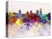 Stretched Canvas Print