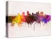 Stretched Canvas Print