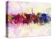 Stretched Canvas Print