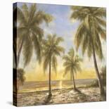 Caribbean Waters-Paulsen-Stretched Canvas