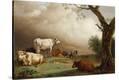 Stretched Canvas Print