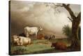 Stretched Canvas Print