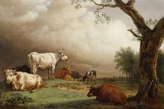 Two Horses in a Meadow Near a Gate-Paulus Potter-Art Print