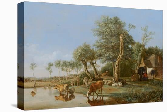 Stretched Canvas Print, , large