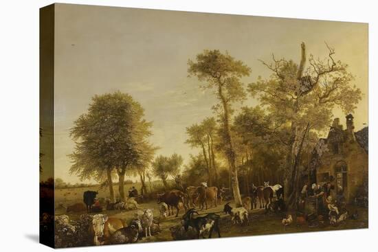 Stretched Canvas Print, , large