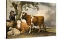 Stretched Canvas Print