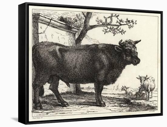 Stretched Canvas Print, , large