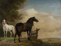 The “Piebald” Horse, 1650-54-Paulus Potter-Art Print
