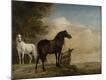 Premium Giclee Print