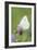 Pausing Flutter-Staffan Widstrand-Framed Giclee Print