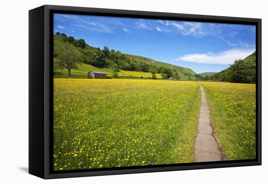 Paved Footpath across Buttercup Meadows at Muker-Mark Sunderland-Framed Premier Image Canvas