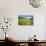 Paved Footpath across Buttercup Meadows at Muker-Mark Sunderland-Photographic Print displayed on a wall