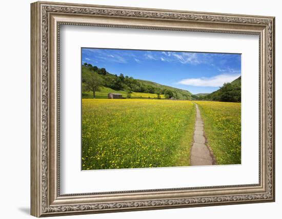 Paved Footpath across Buttercup Meadows at Muker-Mark Sunderland-Framed Photographic Print