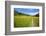 Paved Footpath across Buttercup Meadows at Muker-Mark Sunderland-Framed Photographic Print