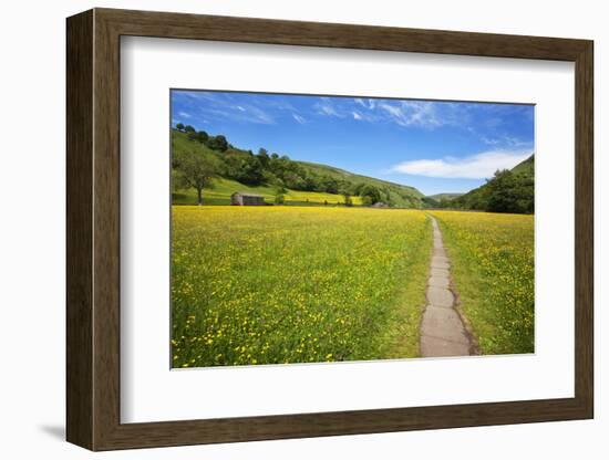 Paved Footpath across Buttercup Meadows at Muker-Mark Sunderland-Framed Photographic Print