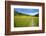 Paved Footpath across Buttercup Meadows at Muker-Mark Sunderland-Framed Photographic Print