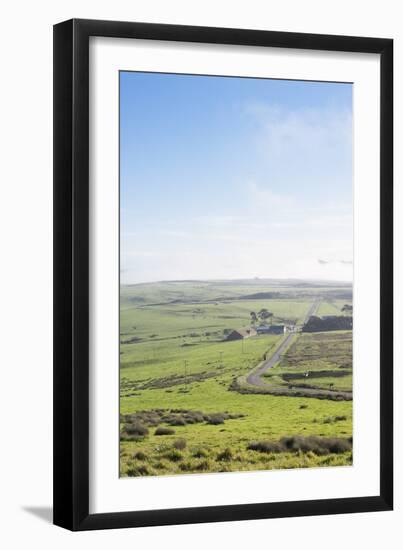 Paved Roads Snaking Through The Point Reyes Seashore Farmland In Northern California-Shea Evans-Framed Photographic Print