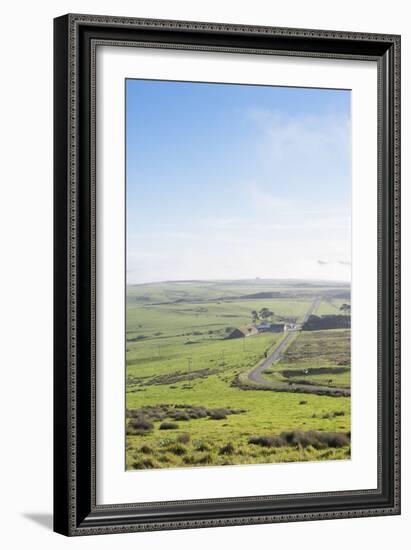 Paved Roads Snaking Through The Point Reyes Seashore Farmland In Northern California-Shea Evans-Framed Photographic Print