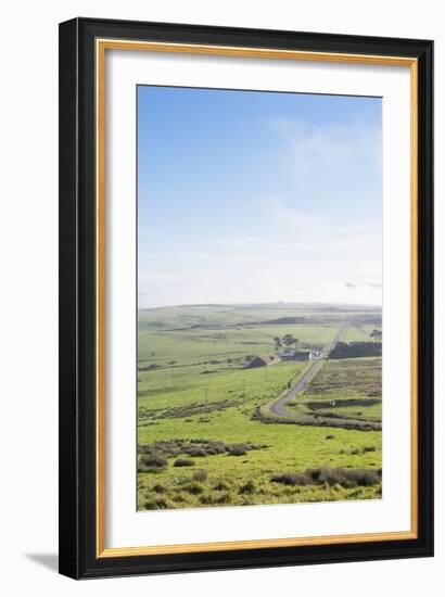 Paved Roads Snaking Through The Point Reyes Seashore Farmland In Northern California-Shea Evans-Framed Photographic Print