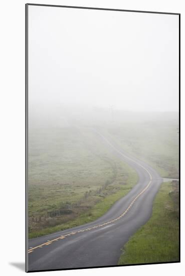 Paved Roads Snaking Through The Point Reyes Seashore Farmland In Northern California-Shea Evans-Mounted Photographic Print