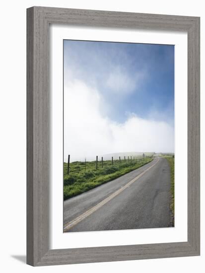 Paved Roads Snaking Through The Point Reyes Seashore Farmland In Northern California-Shea Evans-Framed Photographic Print