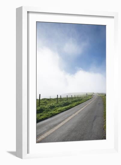 Paved Roads Snaking Through The Point Reyes Seashore Farmland In Northern California-Shea Evans-Framed Photographic Print