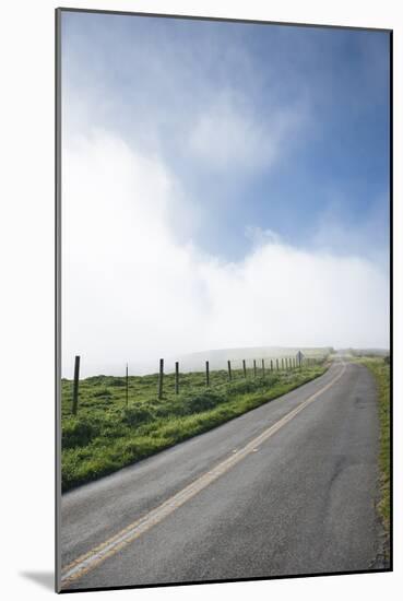 Paved Roads Snaking Through The Point Reyes Seashore Farmland In Northern California-Shea Evans-Mounted Photographic Print