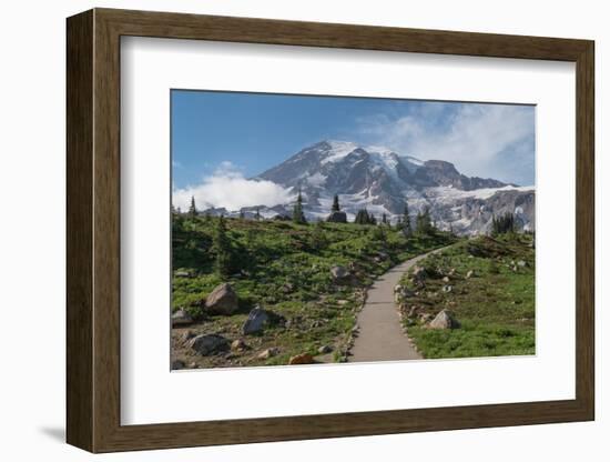 Paved section of Skyline Trail. Paradise wildflower meadows Mount Rainier National Park-Alan Majchrowicz-Framed Photographic Print