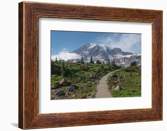 Paved section of Skyline Trail. Paradise wildflower meadows Mount Rainier National Park-Alan Majchrowicz-Framed Photographic Print