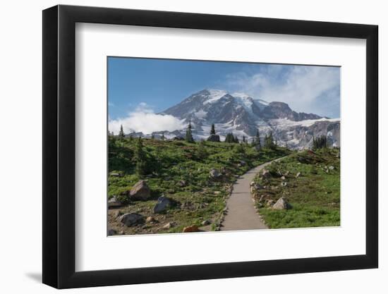 Paved section of Skyline Trail. Paradise wildflower meadows Mount Rainier National Park-Alan Majchrowicz-Framed Photographic Print