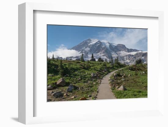 Paved section of Skyline Trail. Paradise wildflower meadows Mount Rainier National Park-Alan Majchrowicz-Framed Photographic Print