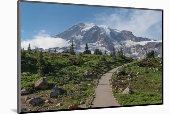 Paved section of Skyline Trail. Paradise wildflower meadows Mount Rainier National Park-Alan Majchrowicz-Mounted Photographic Print