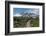 Paved section of Skyline Trail. Paradise wildflower meadows Mount Rainier National Park-Alan Majchrowicz-Framed Photographic Print