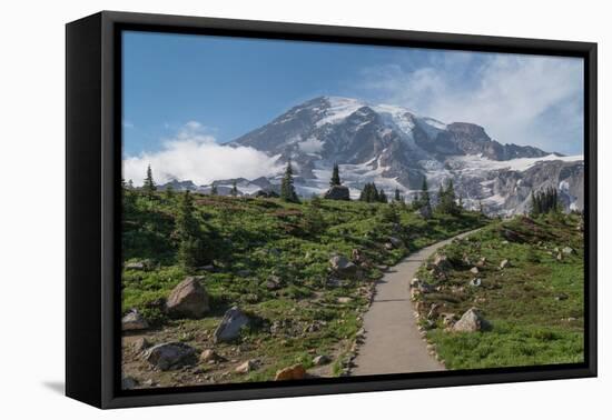 Paved section of Skyline Trail. Paradise wildflower meadows Mount Rainier National Park-Alan Majchrowicz-Framed Premier Image Canvas