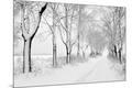 Photographic Print