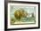 Pavel Nakhimov, Russian Admiral, and the Siege of Sevastopol, 1855-null-Framed Giclee Print