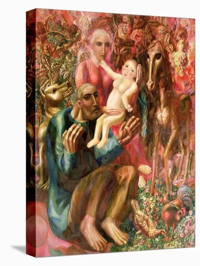 Stretched Canvas Print, , large