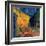 Pavement Cafe at Night-Vincent van Gogh-Framed Art Print